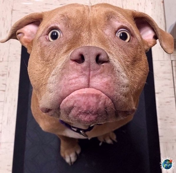   eee?