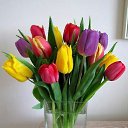 ���� �������, ������ - ��������� 29 ������� 2020 � ������ ���� ����������