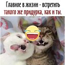 ���� �����, �����������, 50 ��� - ��������� 21 ���� 2020 � ������ ���� ����������