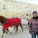 ������������ �� ������� ���� ����������