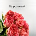 ���� Amira, ������ - ��������� 8 ������ 2020 � ������ ���� ����������