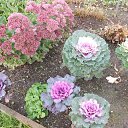  ,  -  19  2020    ))))