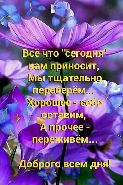   ,    . - 23  2020  14:17 - 3