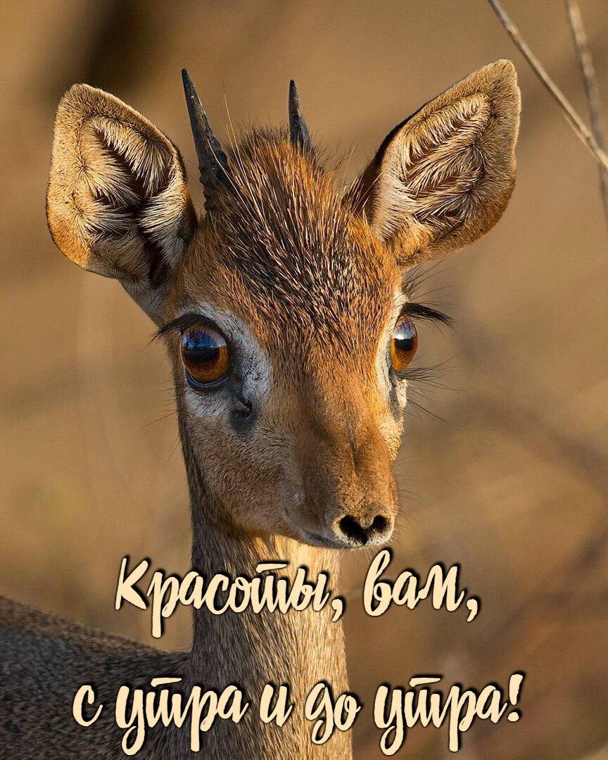 ***Victoria Viktorovna*** - 6  2020  03:05