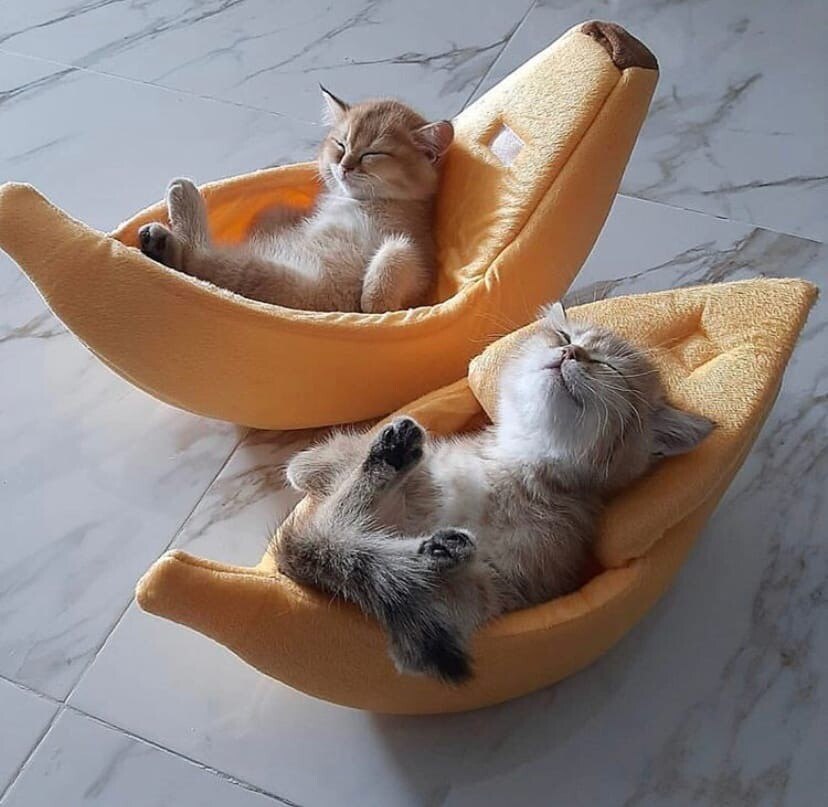  !)