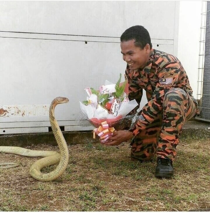       ,        .   ... - 2