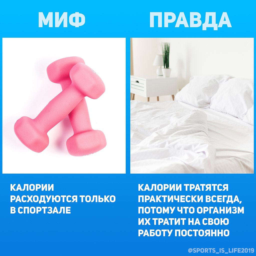   ? #SPORT__@sports_is_life2019
