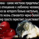 ���� �����, �����, 64 ���� - ��������� 11 ���� 2020 � ������ ������