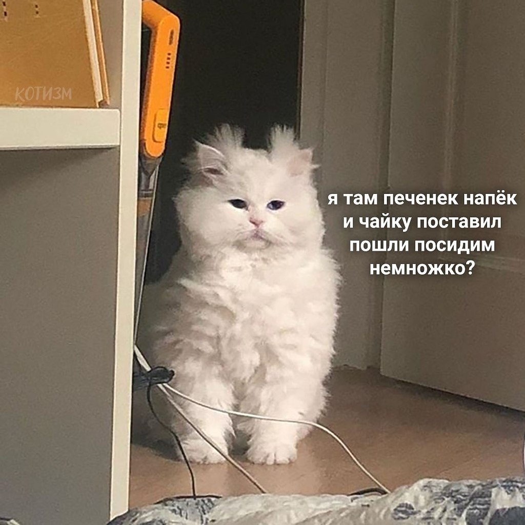 ��o��� �po��� �������, ����� ��p�� �o� �p���� �o ��e � c�a�a�: ���. - 2