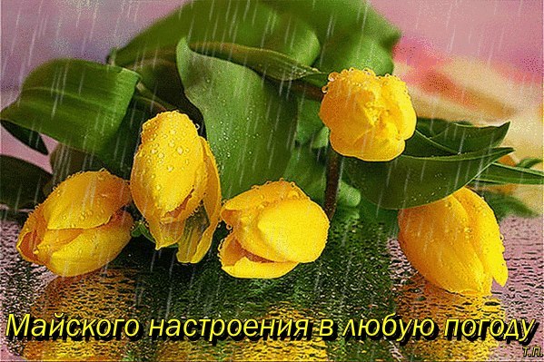  ,    . - 7  2020  19:09