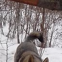 ���� ���������, �����, 48 ��� - ��������� 4 ����� 2020 � ������ ���� ����������