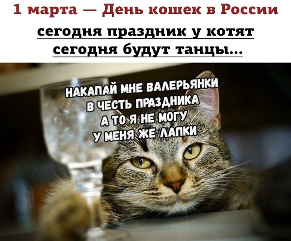  - 1  2020  20:33