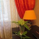 ���� �����, �����������, 67 ��� - ��������� 30 ��� 2020 � ������ ���� ����������