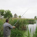 ���� ³����, ��������, 63 ���� - ��������� 11 ������� 2020 � ������ ���� ����������