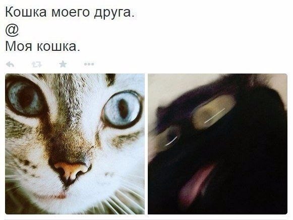 ������� - 29 ������ 2020 � 18:54