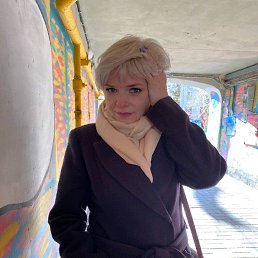 ���� �����, �����-���������, 50 ��� - ��������� 8 ������ 2020