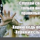  , , 50  -  16  2020    