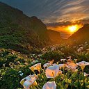  Namiq, , 59  -  23  2020   ֻ