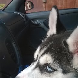 ����, �����, 51 ���