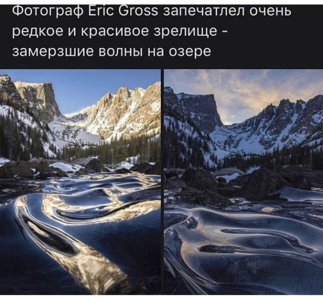 LIFE -  - 4  2020  19:04
