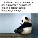 ���� �����, ������, 48 ��� - ��������� 18 ������ 2020