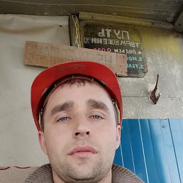 ������, ���������, 40 ���