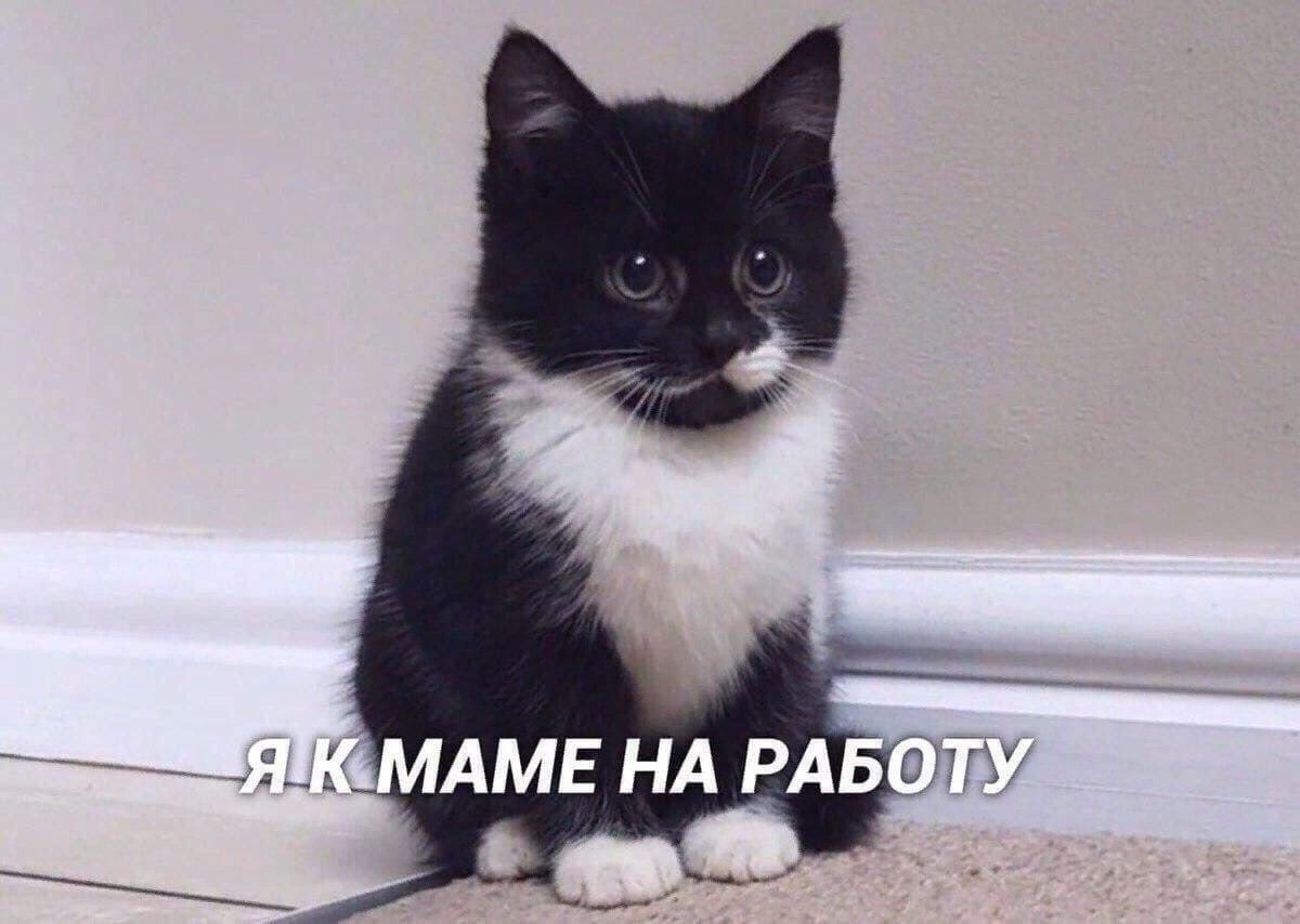   - 2