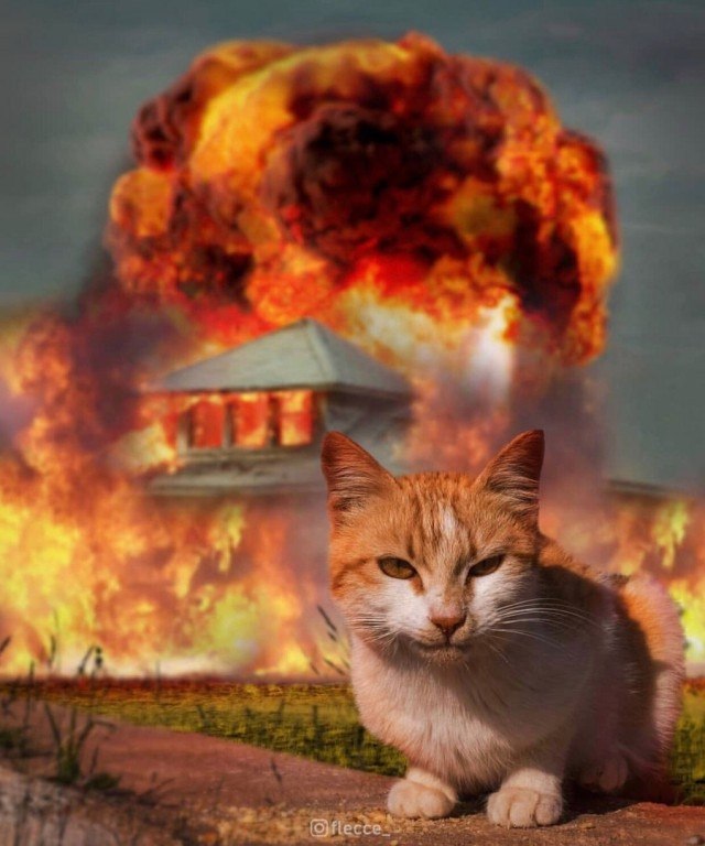       !