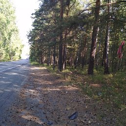 Rtj, ���������, 41 ���