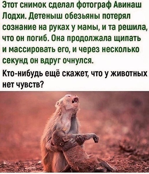 BEST | , ,  - 26  2020  19:06