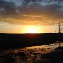 ���� ������, ����, 51 ��� - ��������� 15 ������ 2020 � ������ �������