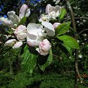 ���� ��������, Kouvola, 78 ��� - ��������� 2 ���� 2020 � ������ ������