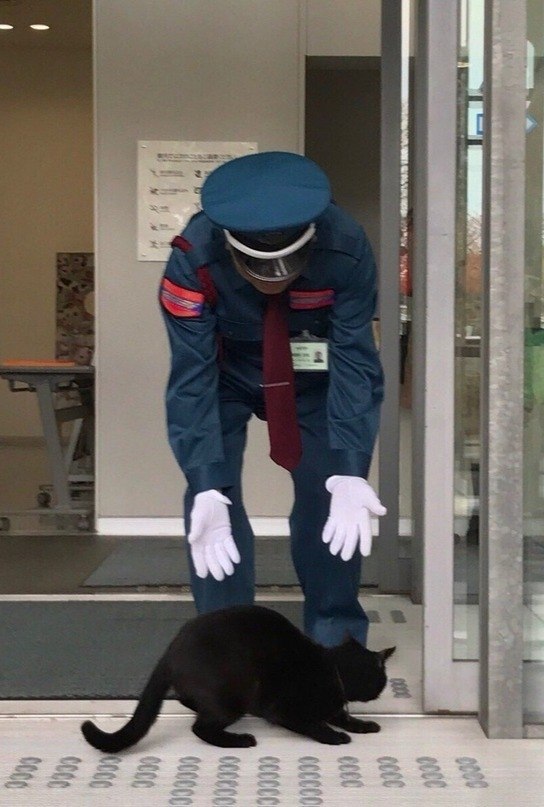 ,       ,    .  , ...