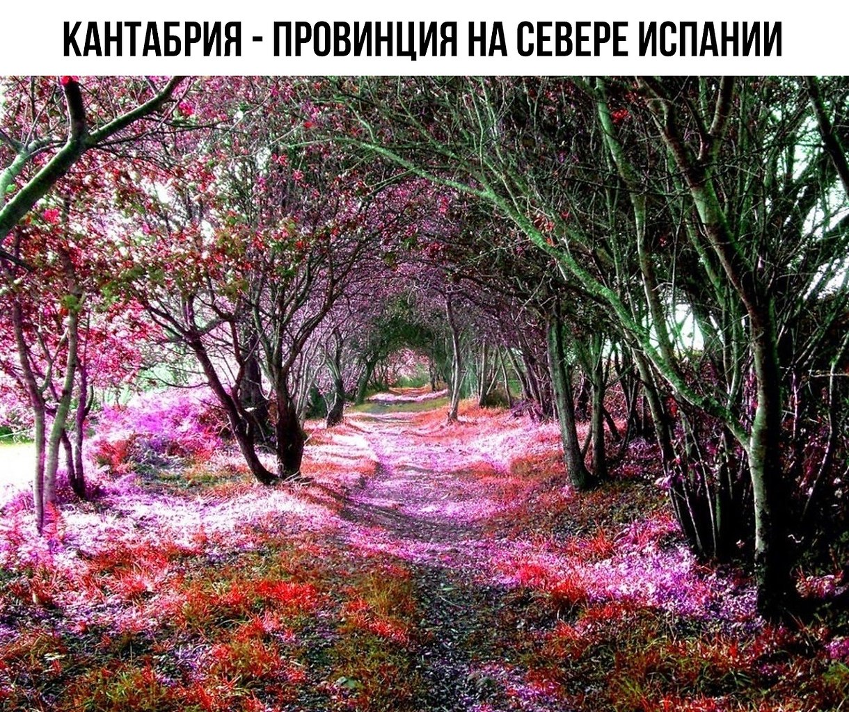 ����� ���������� �� �����! - 5 ������ 2020 � 19:16