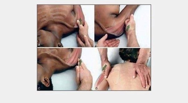 ��� ��������� ������ ������: ��������� ������� ��� ������������� - 8