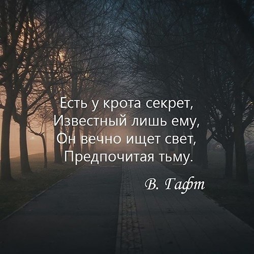  | ,  - 20  2020  19:04