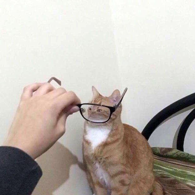 ,     -   - 4