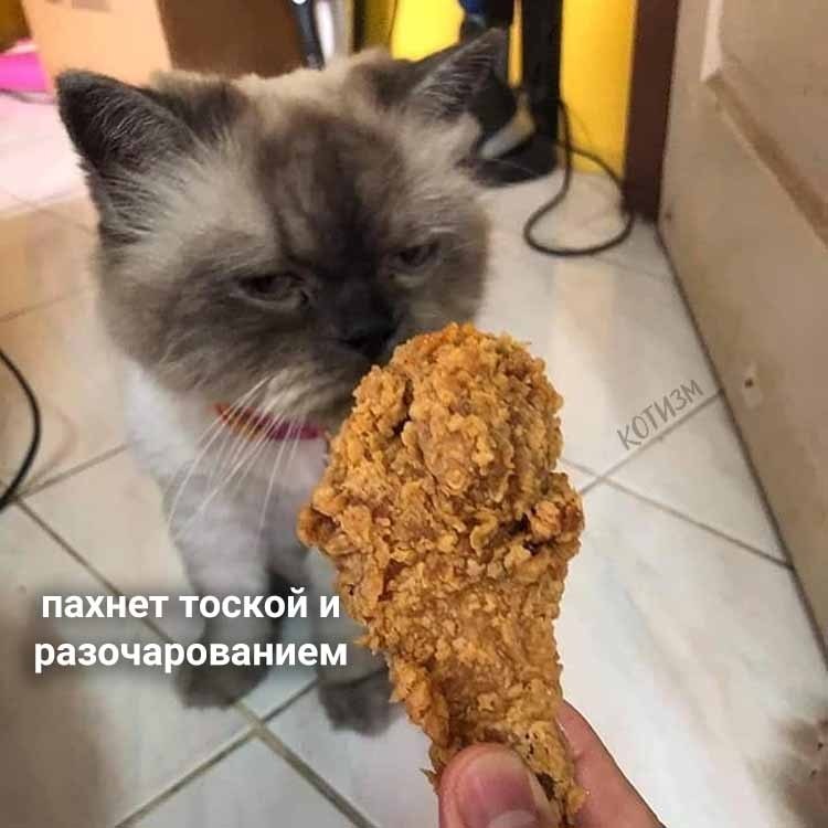      : - 5