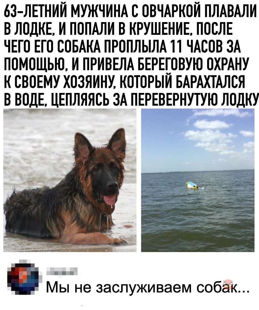   - 4  2020  19:02