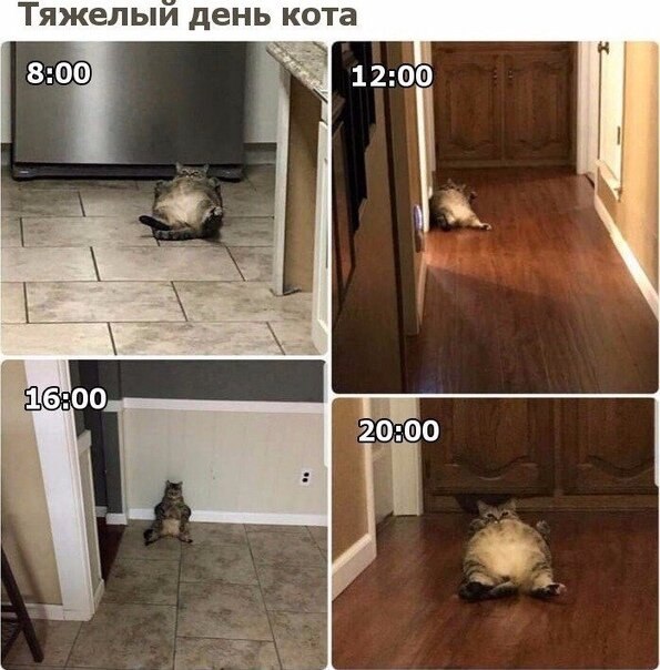    - 25  2020  19:09