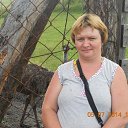 ���� �������, �����-�������, 44 ���� - ��������� 12 ������ 2020 � ������ ���� ����������