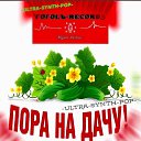���� �����, ������ - ��������� 28 ���� 2020 � ������ �"������-�������" ����� 2020�