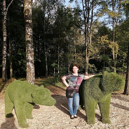 ����, ������, 46 ���