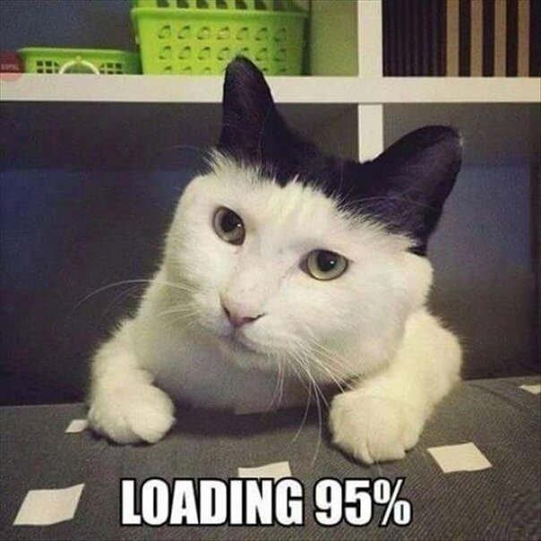  95%