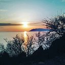 ���� ��������, ���������, 46 ��� - ��������� 5 ������ 2020 � ������ ���� ����������