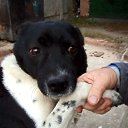 ���� ��������, ������ - ��������� 17 ������� 2020