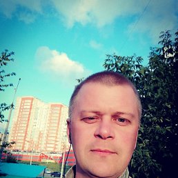 ����, ������, 41 ���