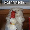 ���� ������, ������, 39 ��� - ��������� 26 ������ 2020