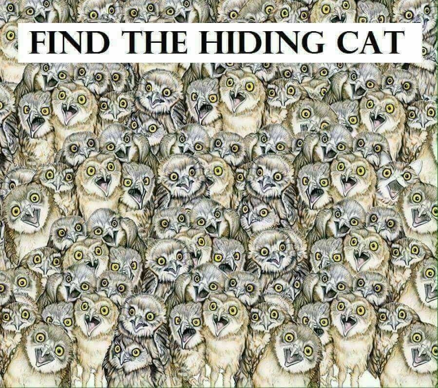 o ?