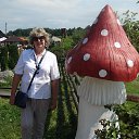 ���� ���������, ����������� - ��������� 26 ���� 2020 � ������ ���� ����������